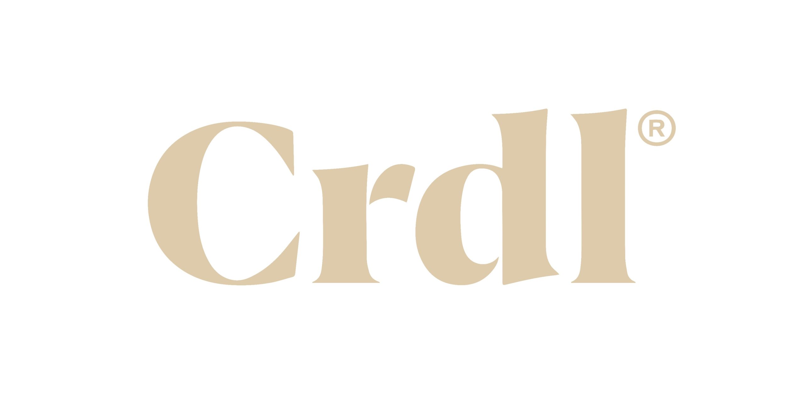 Leden Logo