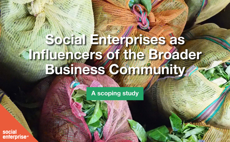 Publication research report ‘Social Enterprises as Influencers of the Broader Business Community’