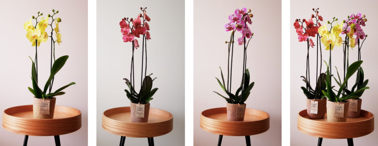 Deel XI: Sociaal ondernemers staan op en pakken door in tijden van het coronavirus